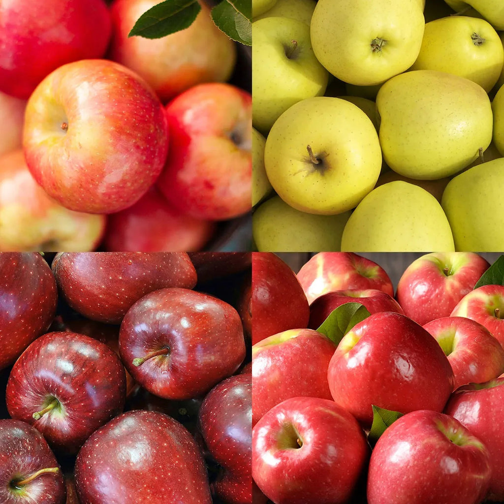 Delicious, juicy medley of mountain-grown apples