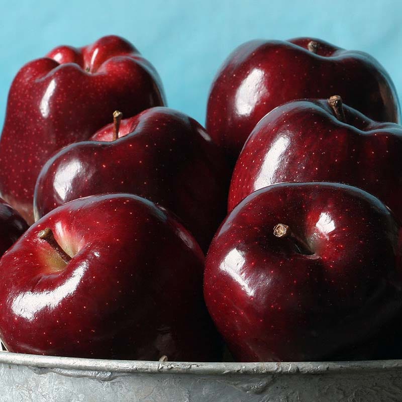 Fresh, juicy ruby-red apples for a delicious snack A bushel of large ruby red apples